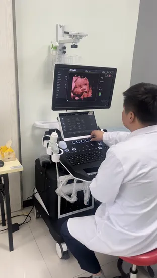 Dwt50医療用超音波診断装置高